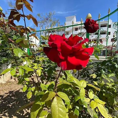 Orange With Private Pool Villa
