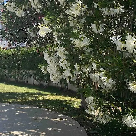 Orange With Private Pool البوفيرا