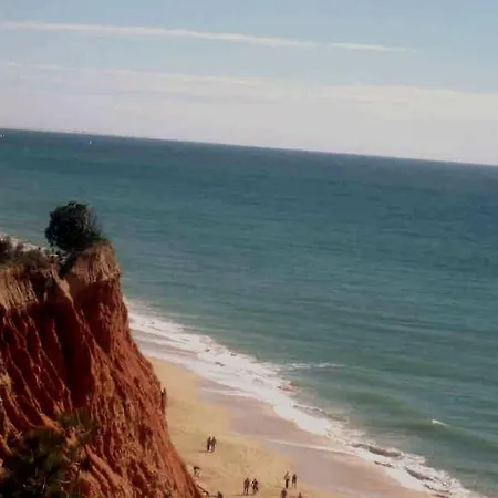 فيلة Orange With Private Pool البوفيرا