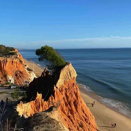 Orange With Private Pool البوفيرا